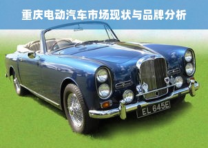 重庆电动汽车市场现状与品牌分析