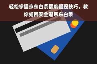 轻松掌握京东白条额度提现技巧，教你如何安全退京东白条