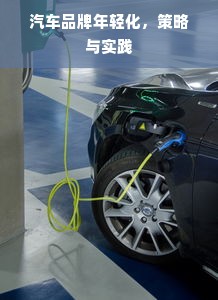 汽车品牌年轻化，策略与实践