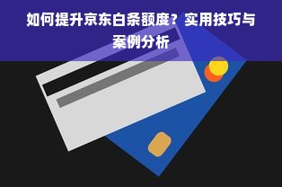 如何提升京东白条额度？实用技巧与案例分析
