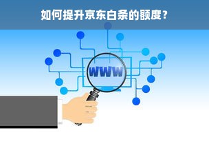 如何提升京东白条的额度？