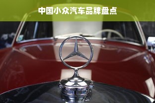 中国小众汽车品牌盘点