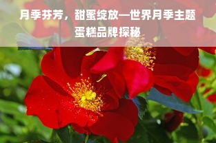 月季芬芳，甜蜜绽放—世界月季主题蛋糕品牌探秘