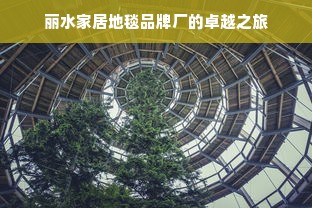 丽水家居地毯品牌厂的卓越之旅