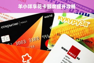 羊小咩享花卡额度提升攻略