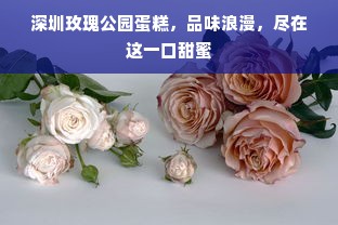 深圳玫瑰公园蛋糕，品味浪漫，尽在这一口甜蜜