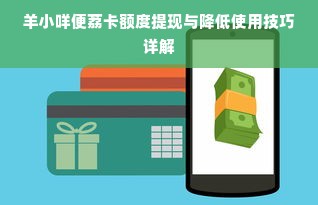 羊小咩便荔卡额度提现与降低使用技巧详解