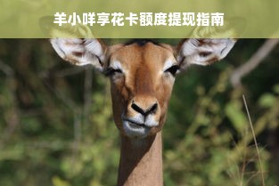 羊小咩享花卡额度提现指南