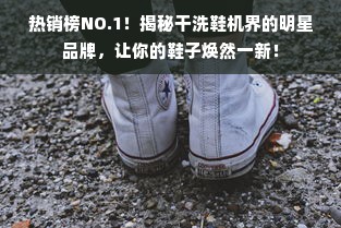 热销榜NO.1！揭秘干洗鞋机界的明星品牌，让你的鞋子焕然一新！