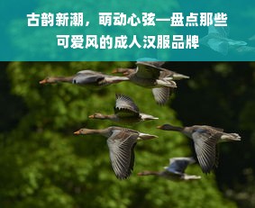 古韵新潮，萌动心弦—盘点那些可爱风的成人汉服品牌