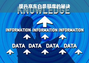 提升京东白条额度的秘诀