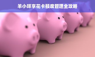 羊小咩享花卡额度管理全攻略