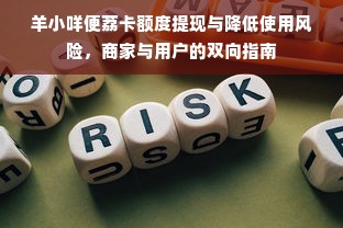 羊小咩便荔卡额度提现与降低使用风险，商家与用户的双向指南
