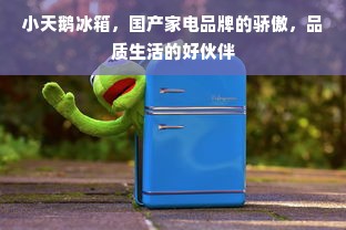 小天鹅冰箱，国产家电品牌的骄傲，品质生活的好伙伴