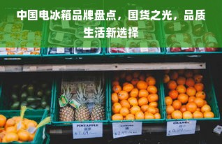中国电冰箱品牌盘点，国货之光，品质生活新选择