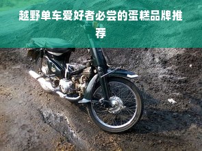 越野单车爱好者必尝的蛋糕品牌推荐