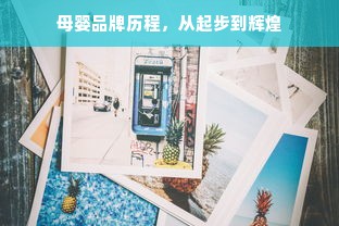 母婴品牌历程，从起步到辉煌