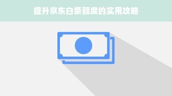 提升京东白条额度的实用攻略