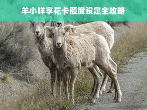 羊小咩享花卡额度设定全攻略