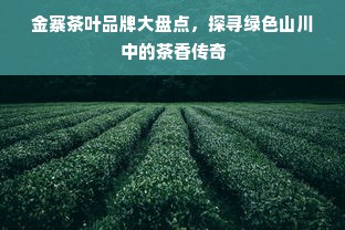 金寨茶叶品牌大盘点，探寻绿色山川中的茶香传奇