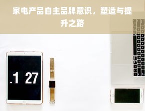 家电产品自主品牌意识，塑造与提升之路