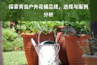 探索青岛户外花桶品牌，选择与案例分析
