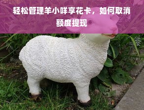 轻松管理羊小咩享花卡，如何取消额度提现