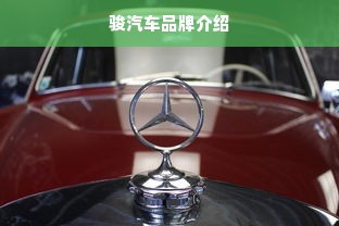 骏汽车品牌介绍