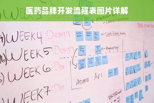 医药品牌开发流程表图片详解