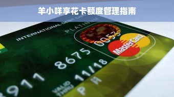 羊小咩享花卡额度管理指南
