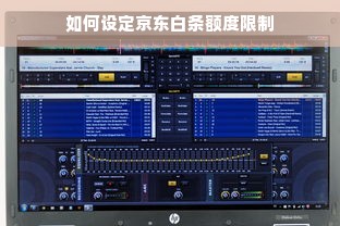 如何设定京东白条额度限制