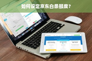 如何设定京东白条额度？