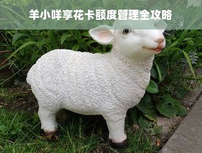 羊小咩享花卡额度管理全攻略