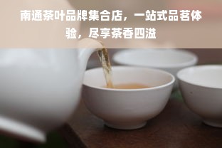 南通茶叶品牌集合店，一站式品茗体验，尽享茶香四溢