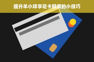 提升羊小咩享花卡额度的小技巧