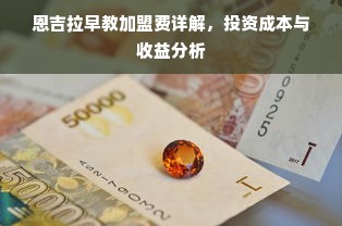恩吉拉早教加盟费详解，投资成本与收益分析