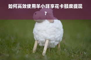 如何高效使用羊小咩享花卡额度提现？