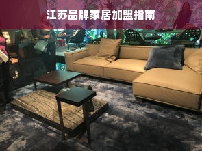 江苏品牌家居加盟指南