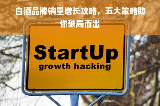 白酒品牌销量增长攻略，五大策略助你破局而出