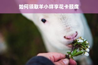 如何领取羊小咩享花卡额度