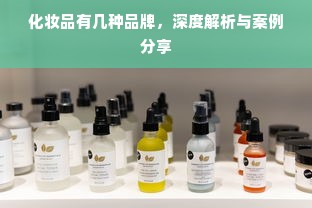 化妆品有几种品牌，深度解析与案例分享