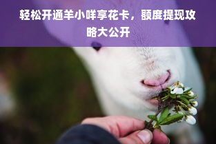 轻松开通羊小咩享花卡，额度提现攻略大公开