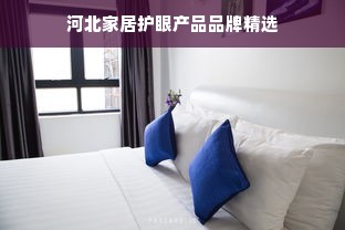 河北家居护眼产品品牌精选