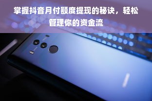 掌握抖音月付额度提现的秘诀，轻松管理你的资金流
