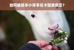 如何解除羊小咩享花卡额度绑定？