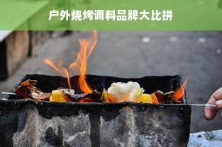 户外烧烤调料品牌大比拼