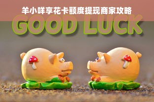 羊小咩享花卡额度提现商家攻略