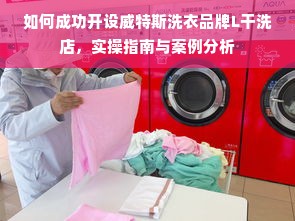 如何成功开设威特斯洗衣品牌L干洗店，实操指南与案例分析