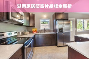 湖南家居防霉片品牌全解析