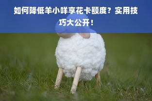 如何降低羊小咩享花卡额度？实用技巧大公开！